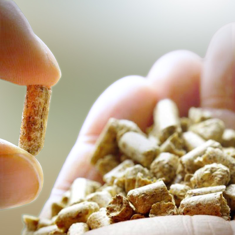 Carinci Group S.p.A. - dettaglio pellet