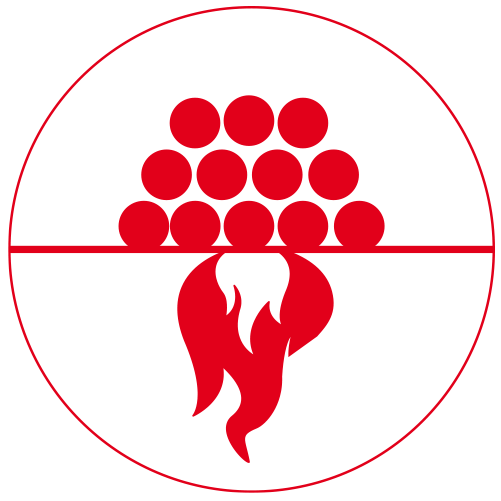 Carinci Group S.p.A. - icona fiamma inversa
